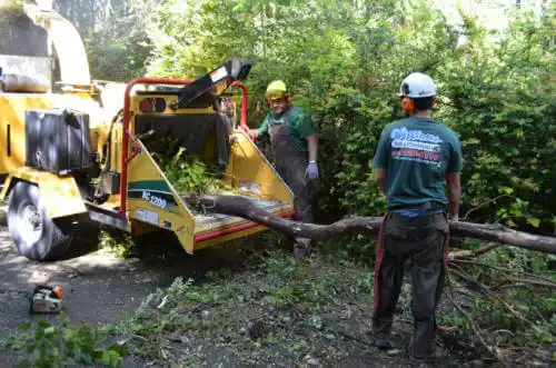 tree services Pleasant Hill